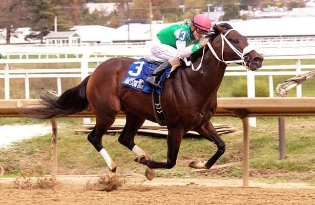 Winter Spectacular - Maryland Jockey Club