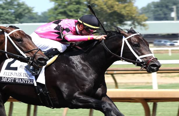 Most Wanted wins Ellis Park Derby, remains unbeaten for Cox