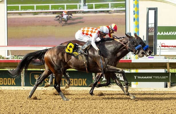 Del Mar: Baffert duo dead-heat in Shared Belief Stakes