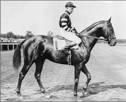 horseracingnation com