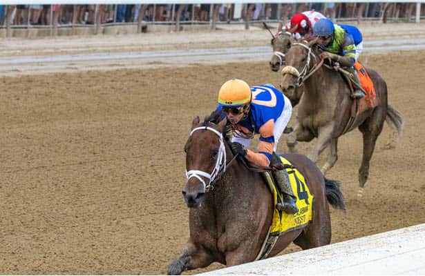 First Look: Nest's return leads packed graded-stakes calendar