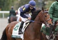 Noble's Promise with Willie Martinez up prior to winning The Breeder's Cup Futurity (gr.I) at Keeneland. 10.10.2009 