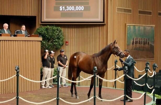 Keeneland sale: 2 Nyquist sons top million-dollar mark Thursday