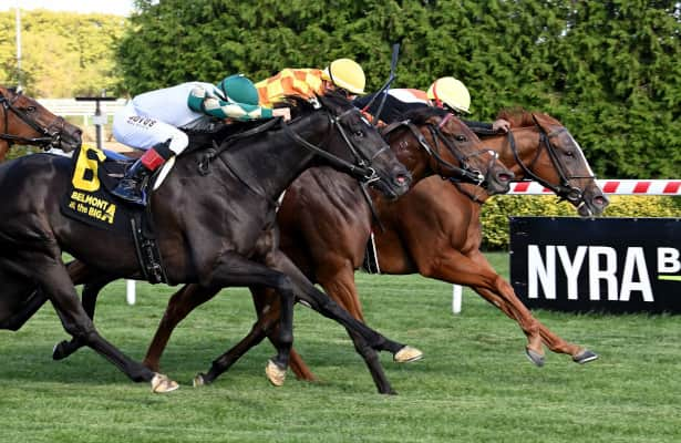 Aqueduct: Ocean Club hangs on in blanket finish in Noble Damsel