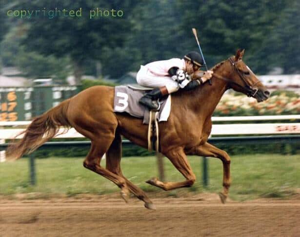 horseracingnation com