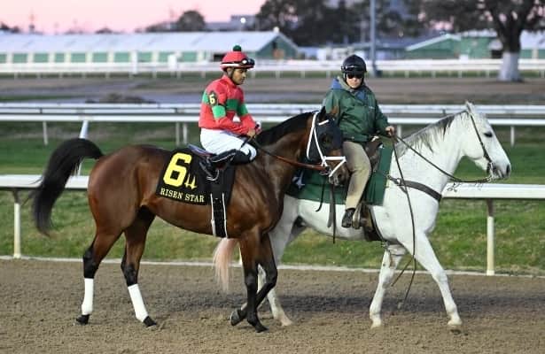 Analysis: One horse offers certain value in Harlan's Holiday