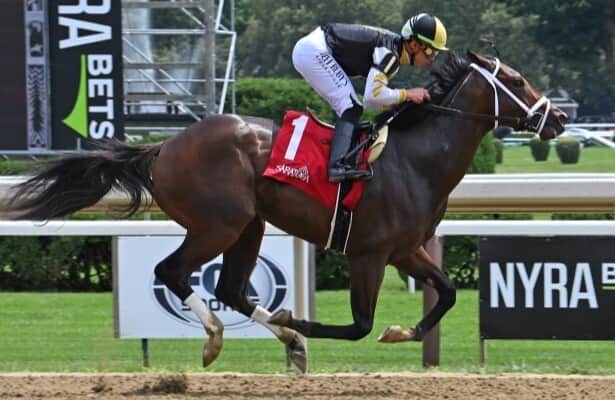 Ky Derby 2024 Lineup  : Unveiling the Exciting Contenders