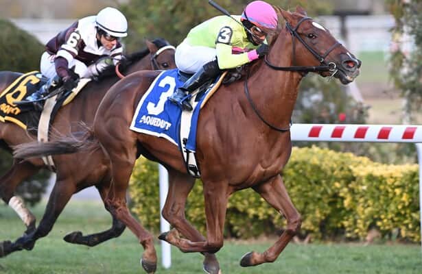 Plum Ali ends her 7-race skid, wins stakes at Aqueduct
