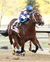 Tanzanite Cat wins the Smarty Jones Stakes at Oaklawn Park.