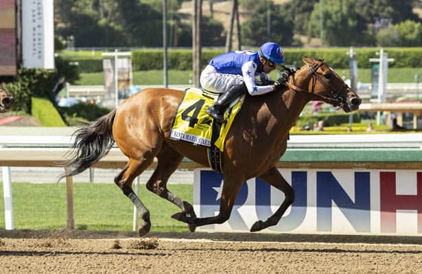 G1 winner Private Mission gets back on the beam in Santa Maria