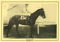 /horse/Ribot pedigree