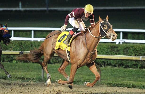 Mountaineer roundup Red Route One wins West Virginia Derby