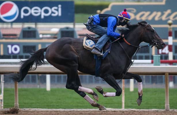 Report: Rock Your World back to turf, targets Del Mar Derby