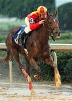 Rose To Gold wins the G2 Fantasy Stakes 2013 with Calvin Borel at Oaklawn Park.