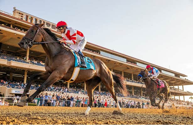 Awesome Again shines light on 4 Grade 1 winners