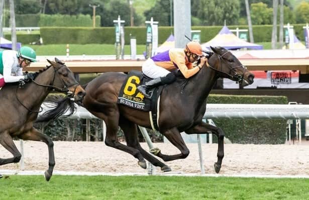 Gamely Stakes: Mandella runs 2 in top-level turf event