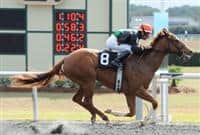 Ruslana wins the 2013 OBS Sprint Stakes at Ocala Training Center.