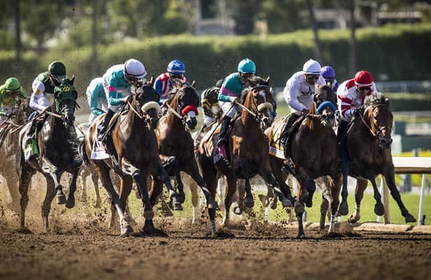 First Look: 7 graded stakes on tap this weekend
