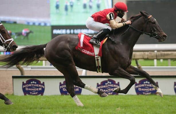 Memorial Day plays: Shoemaker Mile, Hollywood Gold Cup + 2