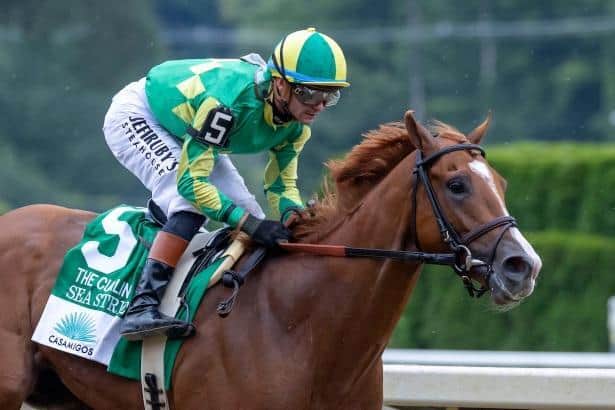 Lightly raced Sea Strike gives Brown big chance in Travers