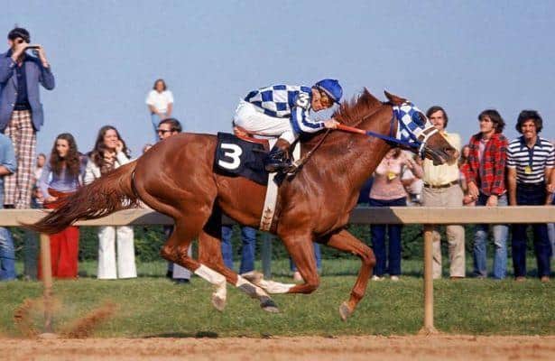 1980 PIMLICO RACE COURSE PREAKNESS HORSE RACING PROGRAM GENUINE RISK SECRETARIAT 