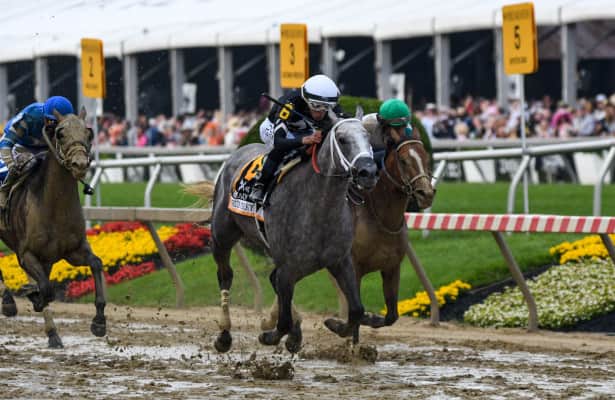 Seize the Grey jumps into top 10 of NTRA top 3-year-olds poll