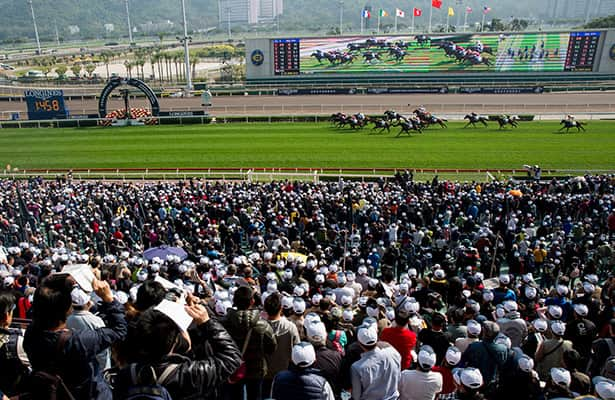 Hong Kong overnight: Picks, analysis, free PPs for Sha Tin