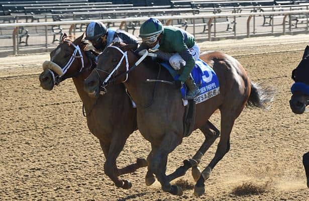 She's a Julie rallies to shock the field in Belmont's Ogden Phipps