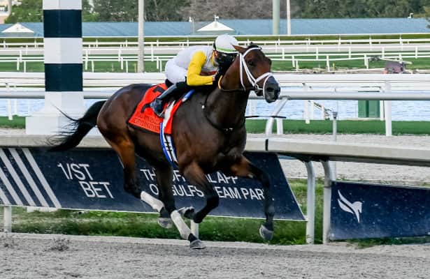 Pegasus World Cup 2023: Odds and analysis