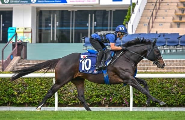 Soul Rush, Jantar Mantar give Japan 2 chances in Hong Kong Mile