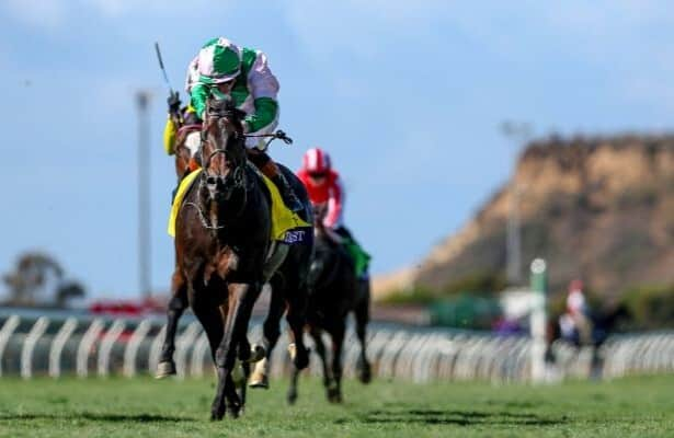 Hong Kong Sprint: Trainer says Starlust is up to the challenge