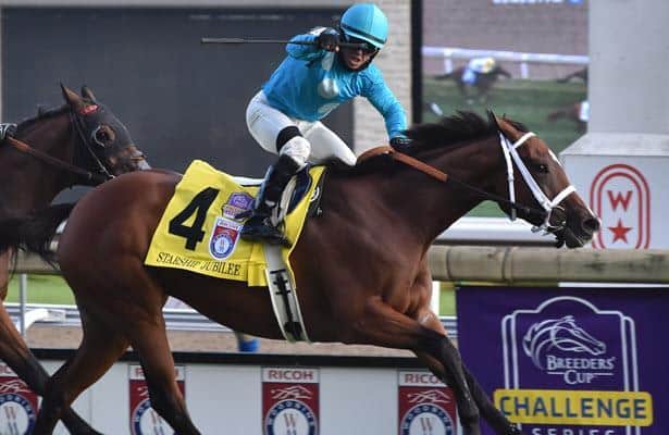 Nearing the Breeders' Cup, turf championships are wide open