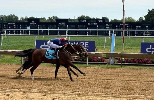Fastest horses: These are Friday's top HRN speed figures