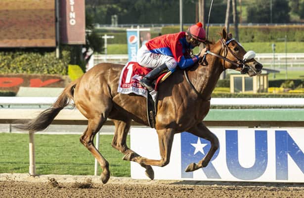 Champion Swiss Skydiver back with a bang in G1 Beholder 