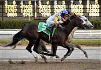 Tale of Ekati gets nosed out by Harlem Rocker in the Cigar Mile, but gets put up by DQ