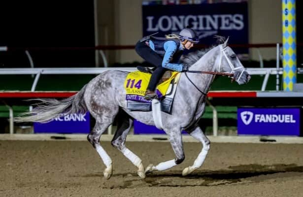 Breeders’ Cup notes: Monday updates on Classic horses