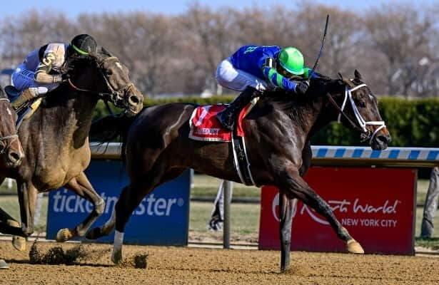 Aqueduct: Tizzy in the Sky digs in to win Go for Wand