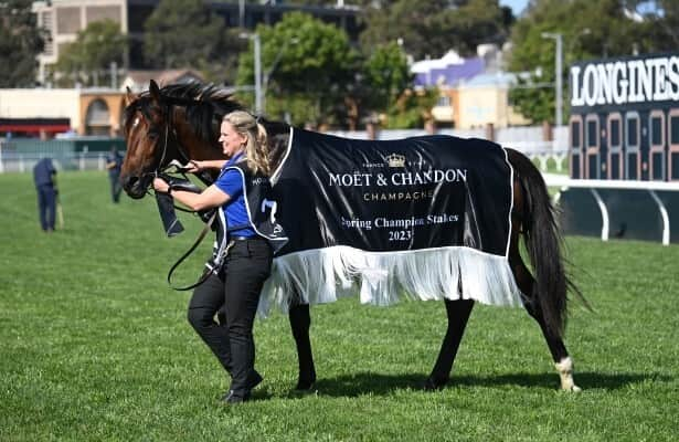 Australia: Swiftfalcon, El Castello lead Spring Champion Stakes