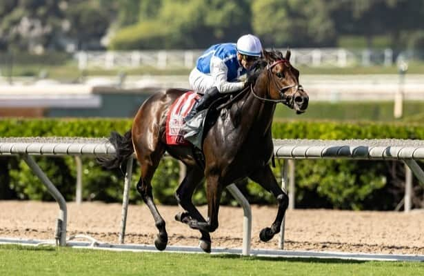 Santa Anita: Toupie goes for more downhill glory in Las Cienegas