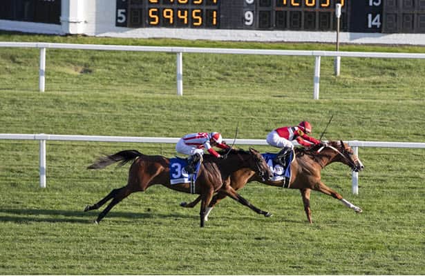 Two Emmys looms as the class of the Oceanport Stakes