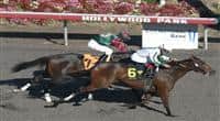 October30, 2010.Ultra Blend riden by Joel Rosario wins TheTOC/CTT California Cup Matron at Hollywood Park, Inglewood, CA._Cynthia Lum/Eclipse Sportswire.com 