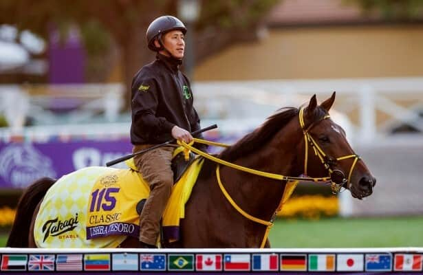 Can a 3-year-old become Breeders' Cup Classic favorite? - Horse Racing  Nation