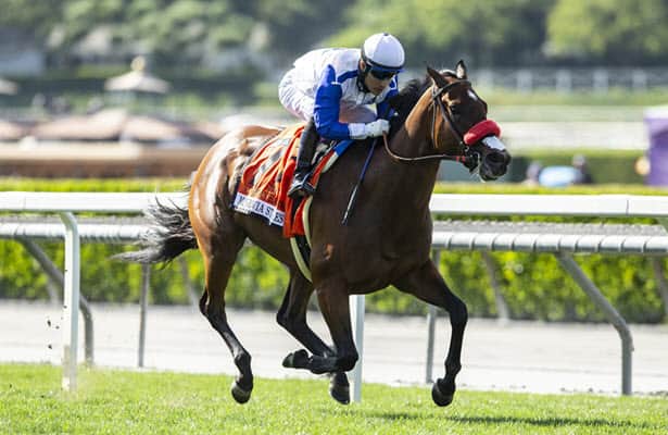 Horses to Watch: 2 to follow this weekend