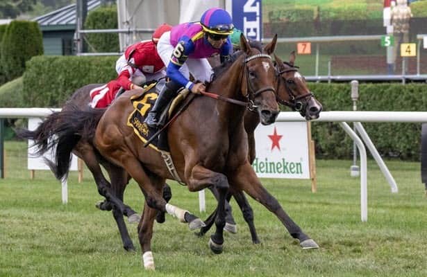 War Like Goddess romps in Glens Falls, could face males