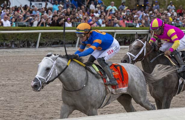 Analysis: Ohio Derby pace should benefit White Abarrio