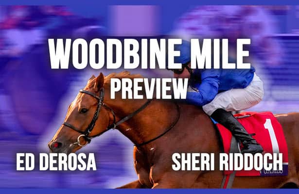 How to bet the 2022 Woodbine Mile 