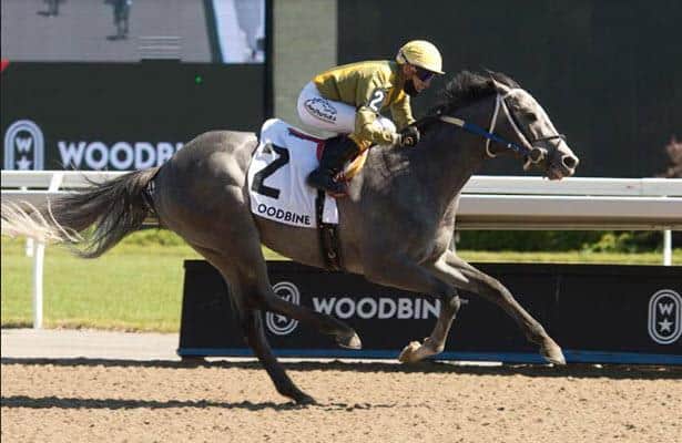 Newstome, Owlette win first Woodbine stakes of the season